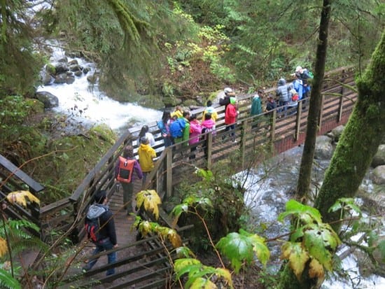 Seattle ICO, Wallace Falls Trail