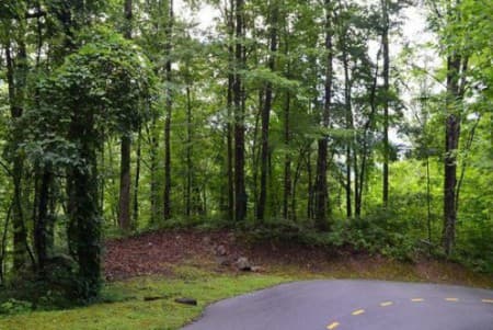 image of donated vacant lot in Tuckasegee