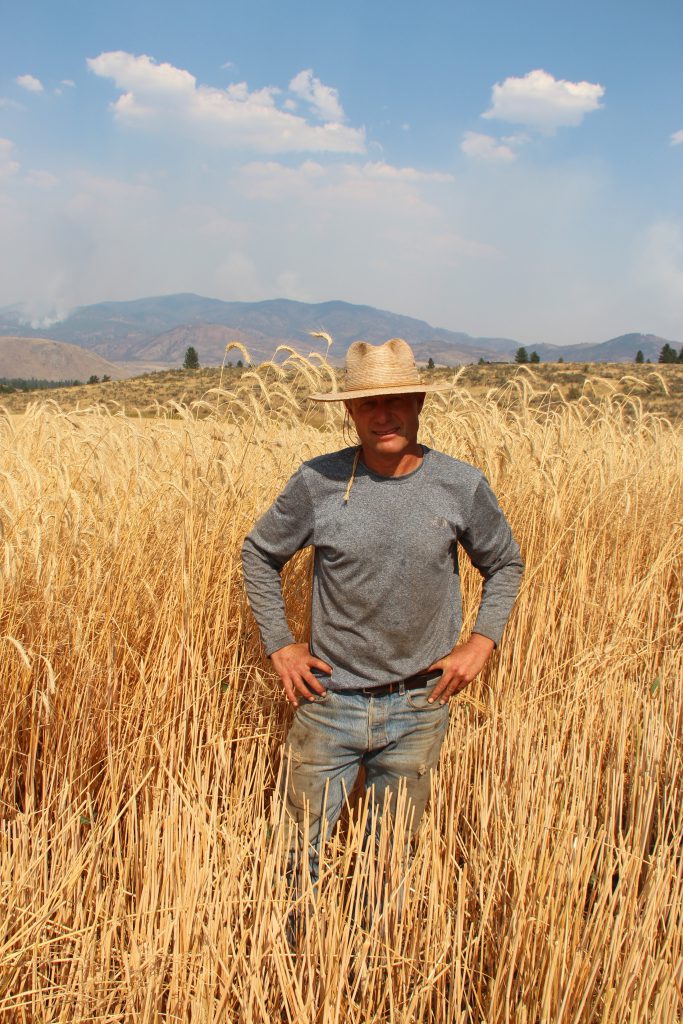 Sam Lucy in grain field Bluebird Grain Farms