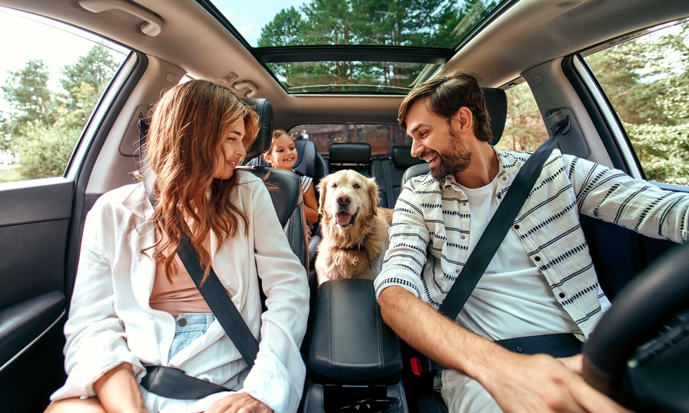 Keeping pets safe inside a car, Dog in backseat of car for safety, family trip